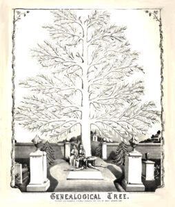 Genealogical Tree Library of Congress, USA undated